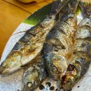 뽑기 집나간인형 이미지