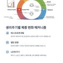 세인트복싱 | 2025년 생리주기 동기화 다이어트: 호르몬 리듬에 최적화된 3개월 -5kg 전략