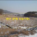 여주-0439 Daum카페