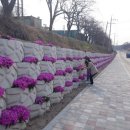 [국도4] 옥천군 이백리 이미지