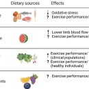 Re: NO(nitric oxide) 운동 모방제 효과, 식이성 질산염(비트) NO생체 이용율 증가 이미지