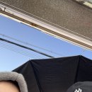 스윗쿠 | 울산 두바이쫀득쿠키 두쫀쿠쿠 맛집 링소금빵 맛집 몬드제과 주말 방문 후기(1/4, 웨이팅)