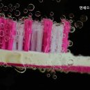 연세으뜸치과의원 네이버블로그
