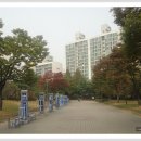 꽃우물공원 이미지