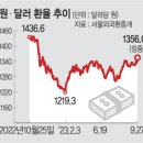 [펌]달러 독주에 속수무책…“환율 1400원도 뚫릴 우려” 이미지