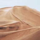 수원가톨릭대학교 이미지