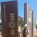 대구블루여행사주