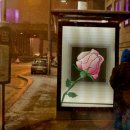 스마트폰사진 편집과 활용 이미지