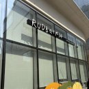루드베키아 | 광화문 | 도심 속 유럽 감성, 브런치 카페 '루드베키아' 내돈내산 솔직 후기