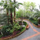 중부대로798번길 이미지