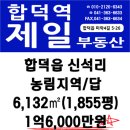 32번국도 Daum카페