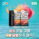 가네오네 이데일리