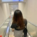 [미장센 헬로버블 머메이드그린/더스티애쉬] 긴머리 셀프염색 후기