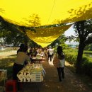 곡성기차당 뚝방마켓 이미지