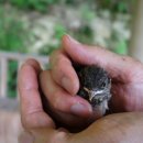 지리산오토캠핑장 이미지