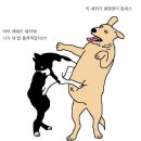 개밥도둑