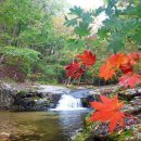 사과나무 펜션 이미지