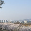 덕풍천동로 네이버블로그