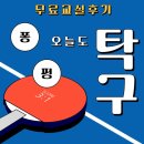 탁구교실 | 성남시 분당구 무료 탁구교실 후기 - 오늘도 탁구