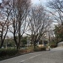 개포도서관 이미지