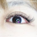 보라미화장품 | 부천 보라미네 뷰티에서 속눈썹 연장해뜸!!