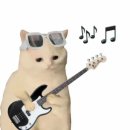 뭉짱