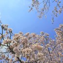 홈플러스(주)원천점 이미지