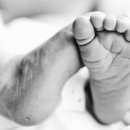 본어게인(BornAgain) 이미지