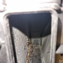 오토글로리 이미지