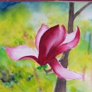 목련@사랑 이미지