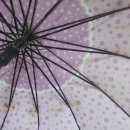 제이와이골프 | (튼튼한 장우산 추천) 여름철 장마 &amp; 햇빛 자외선 보호 할수 있는 이중기능 우산 구매 후기!