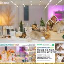 기록, 삶을 바꾸다 | 군산 캐터리에서 만난 고양이가 내 인생을 바꾸다