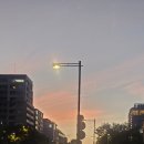 광동떡집 | 10.06 둘째날2. 교토 다케카 중식당.야사카신사