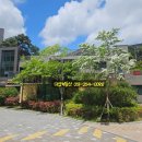 브라운스톤하이포레경로당 이미지