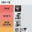 내가 생각하는 열혈강호 무공 수위 list. 이미지