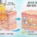 빛나쥬
