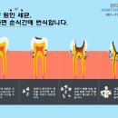 단디치과의원 이미지