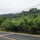 고일농장 이미지