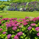 동광리-6 이미지