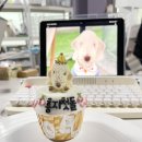 놀면멍하냥 이미지