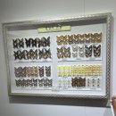 2023 국제농업박람회 | 돌아기와 나주국제농업박람회 관람 후기