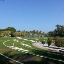 기억의 덩쿨 이미지