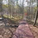 매봉산4 이미지