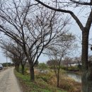 국립산림과학원 산림유전자원부 | [짬짬이] 수원팔색길 5차 출정ᆢ251108ᆢ삼색길 매실길 3-2