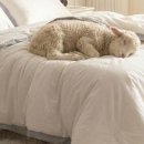 호텔블랑 이미지