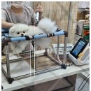 정직한동물의료센터 이미지