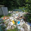 행정사김충식사무소 이미지