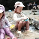 이천모가소고잔디 | 이천 마국산 모가의 숲 얕은 물 계곡에서 여름의 추억 만들기