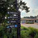 안중레포츠공원 풋살구장