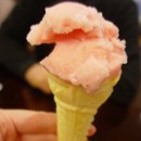 데.바수스 네이버블로그